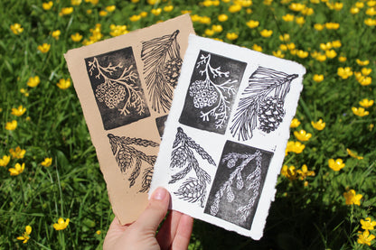 Pine Cone Handmade Linocut Original Print