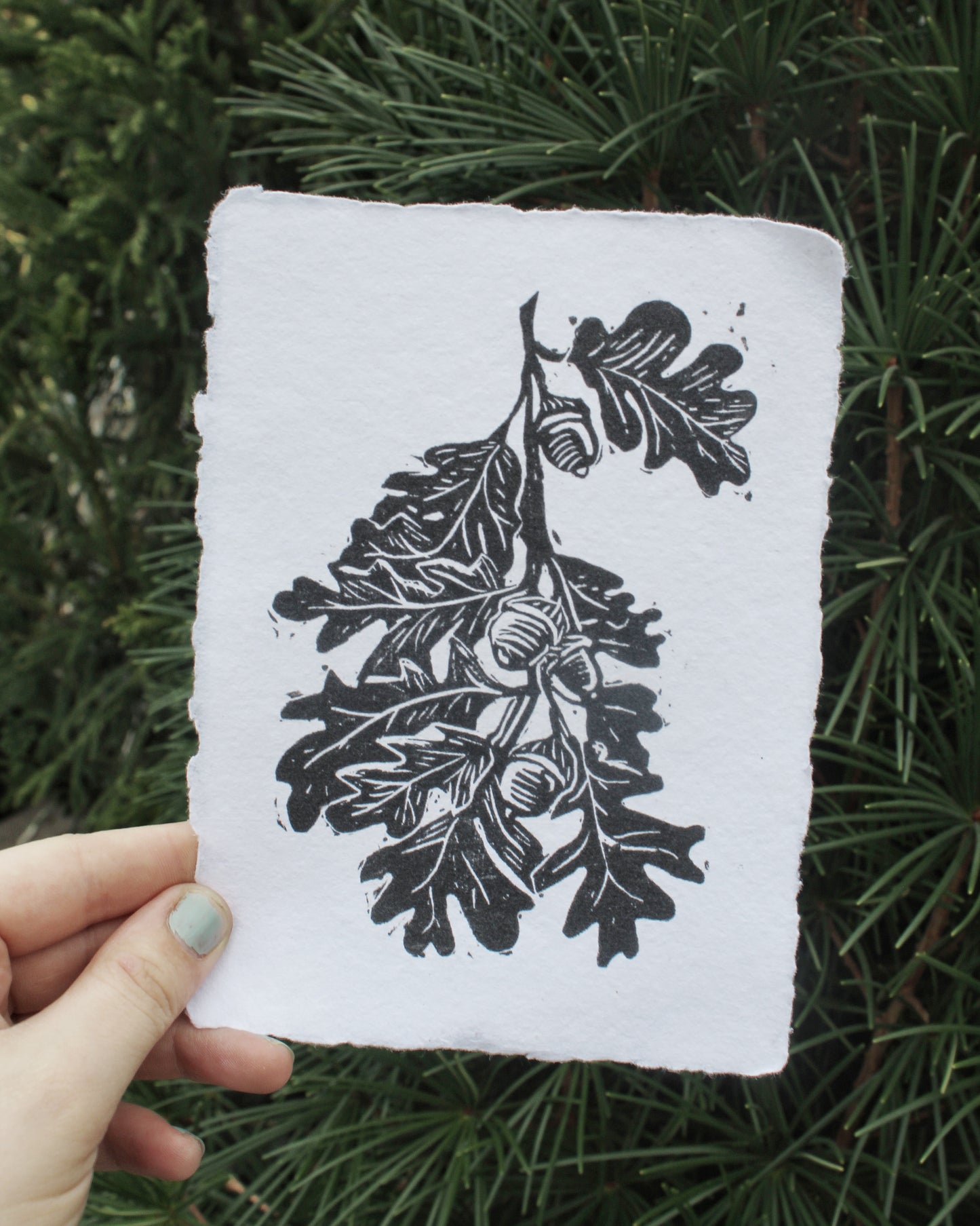 White Oak Leaf Handmade Linocut Print